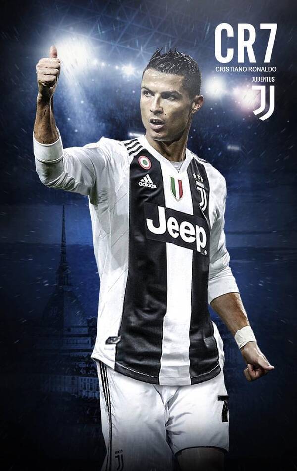 不仅证明了 不仅证明了