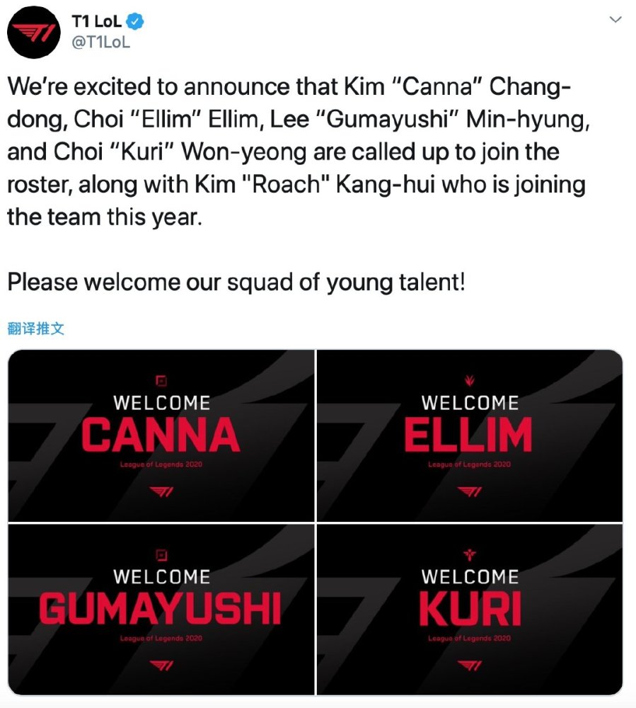 不仅展示了 不仅展示了