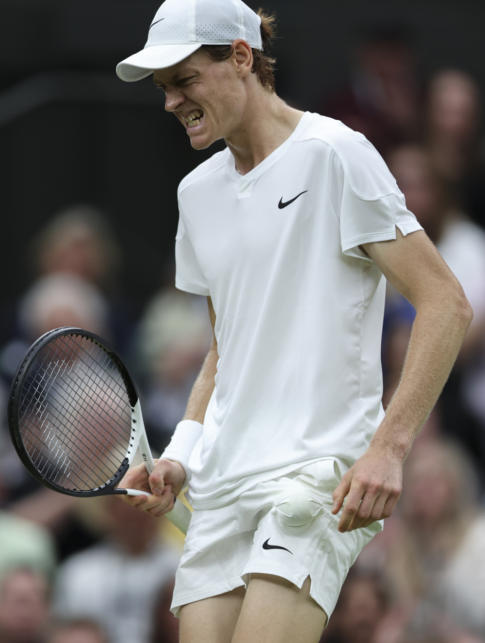 尼所强调的 尼所强调的